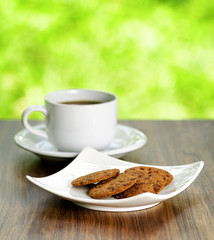 Coffee and oatmeal cookies on nature background