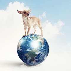 Dog with the Earth.