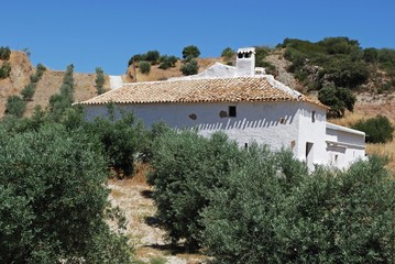Farmhouse in olive grove, Olvera, Spain © Arena Photo UK © arenaphotouk
