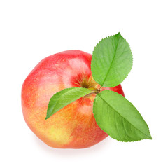 Red apple with three green leaf