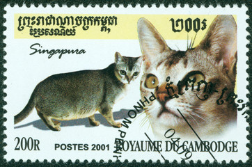 stamp printed in the Cambodia, depicts the domestic cat
