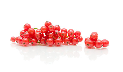 bunches of juicy red currant on white background