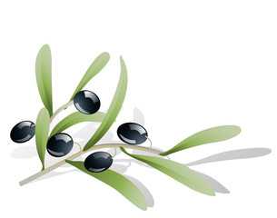 background with twigs of black olives