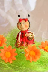 Acrylic prints Ladybugs Marienkäfer