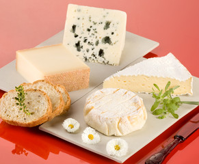 Plateau de fromage