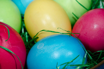 Nest mit gefärbten Ostereiern