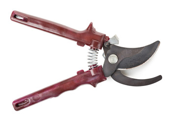 Shears for garden