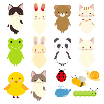 かわいい生き物