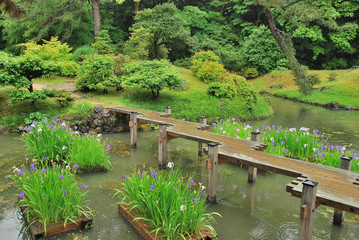 Fototapeta premium Parc Ritsurin kôen à Takamatsu, Shikoku