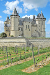 Fototapeta na wymiar Zamek Książąt Anjou Saumur