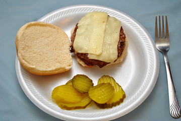 Tasty Burger with Pickle Chips