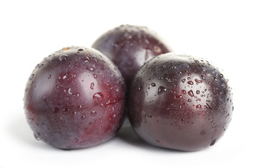 Plum fruit with dew