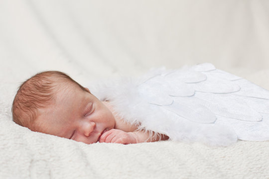 newborn sleeping on the wings of angels