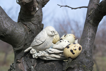 Bird near the nest. Quail eggs.