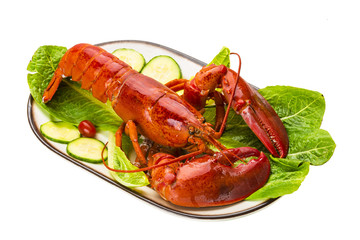Large Lobster