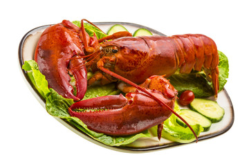 Large Lobster