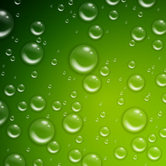 Vector Illustration of Water Drops on a Green Background