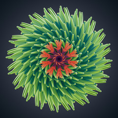 Fototapeta premium 3d abstract organic flower cactus star shape