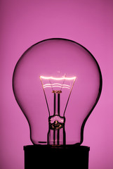 Light bulb on pink