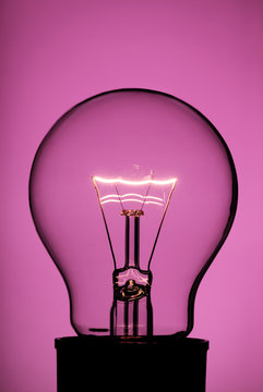 Light bulb on pink