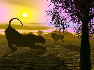 Lions by sunset - 3D render