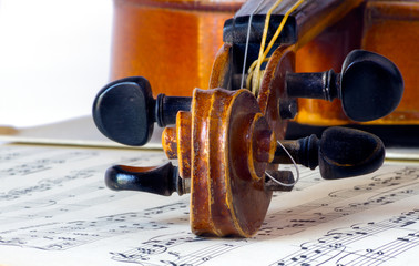 Naklejka premium Violin