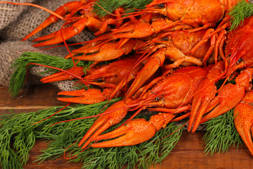 Tasty boiled crayfishes with fennel
