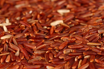Background  red rice