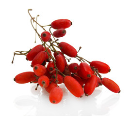 ripe barberries on branch isolated white