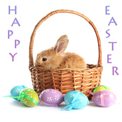 Fluffy foxy rabbit in basket with Easter eggs isolated on white