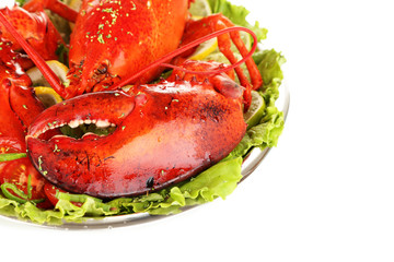 Red lobster on platter with vegetables isolated on white