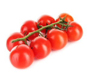 Cherry tomatoes on a branch isolated on white