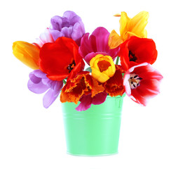 Beautiful tulips in bouquet isolated on white