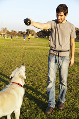 Labrador and Trainer with Dog Chew Toy at Park
