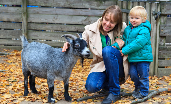 Family Touching Goat In Zoo