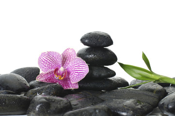 Stones tower with orchid and palm leaf on wet pebble