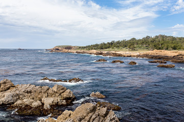 Point Lobos State Natural Reserve