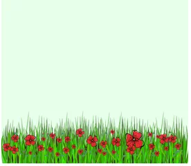 Washable wall murals Abstract flowers Poppy Pattern