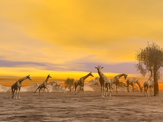Fototapety  Żyrafy na sawannie - renderowanie 3D