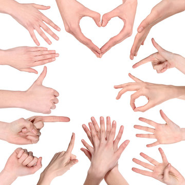 Set of many different hands over white background