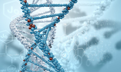 DNA molecule