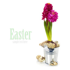 easter composition with eggs and spring flowers