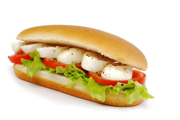 Sandwich with mozzarella tomato and salad