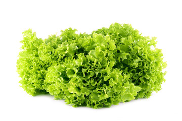 Lettuce salad isolated on a white background