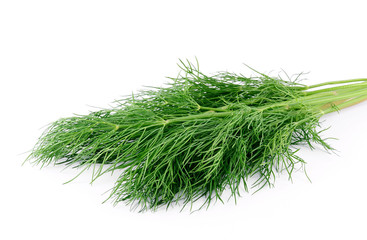 bunch dill herb on a white background