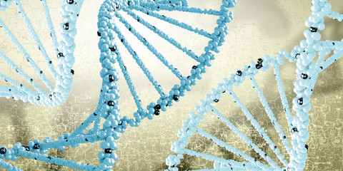 DNA molecule