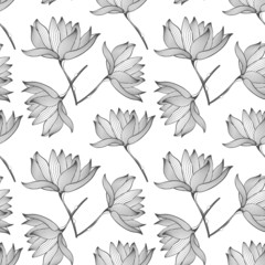 Lotus Flowers Seamless Pattern