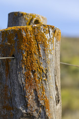 Poste de cerco alambrado en el campo.