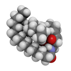 Ceramide cell membrane lipid, molecular model
