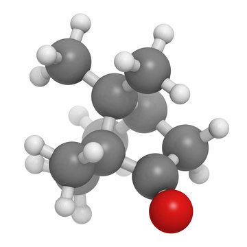 Camphor, chemical structure.